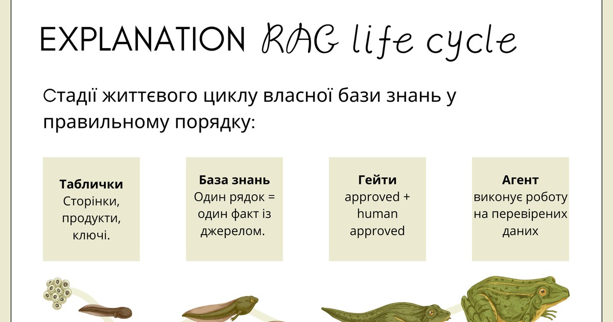 Стадії життєвого циклу власної бази знань у правильному порядку, як у жаби